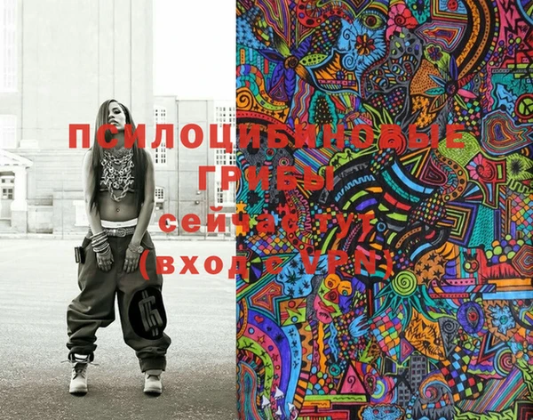 круглые Белокуриха