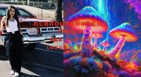 круглые Белокуриха