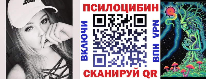 MEGA ТОР  Озёры  Галлюциногенные грибы Psilocybe 